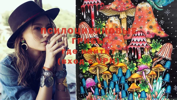PSILOCYBIN Алексин